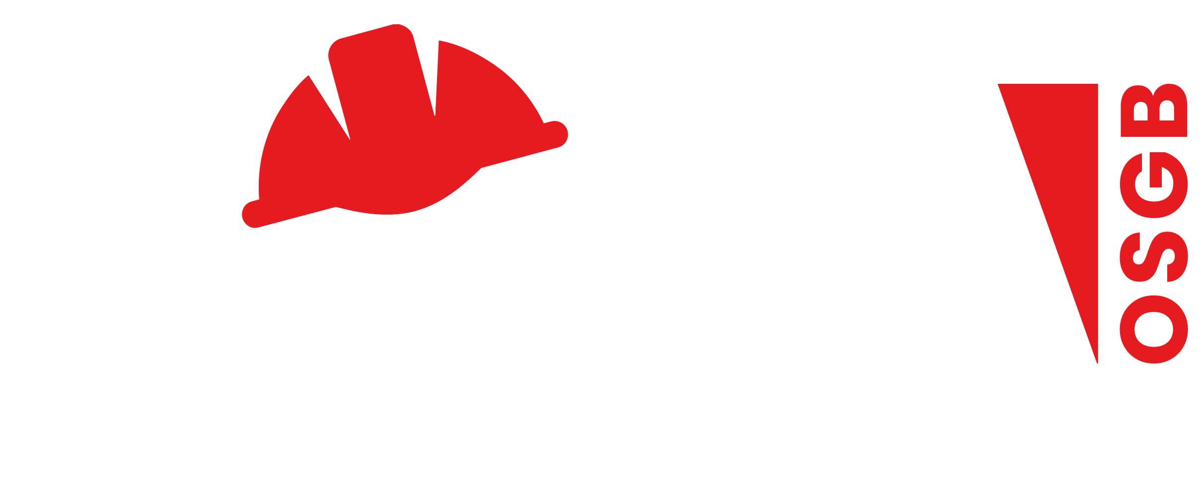 Rofa Osgb | İş Sağlığı ve Güvenliği Hizmetleri